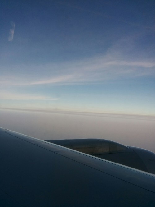 IMG_20140716_164425.jpg image